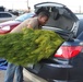 Marines, sailors gather trees for holiday season