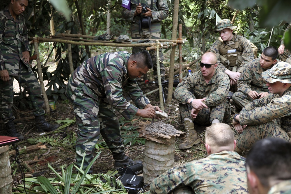 Malaysian jungle training