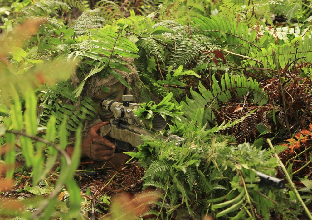 US, Malaysian snipers train in the jungle