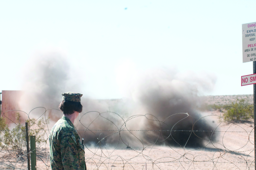EOD teams up with other agencies to increase skills