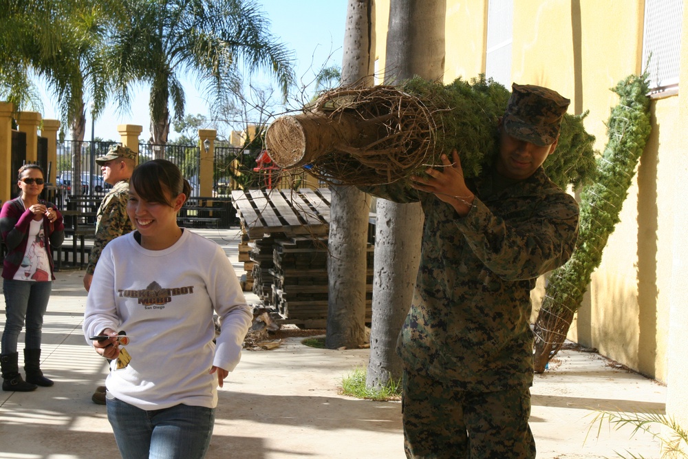 Trees for troops