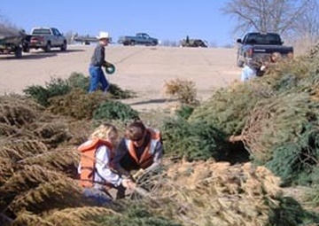 Extend your Christmas tree's life; help create habitats for fish