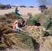 USACE St. Louis District: christmas tree recycling