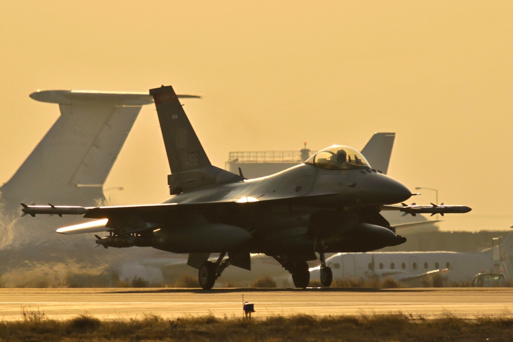 Viper at sunset