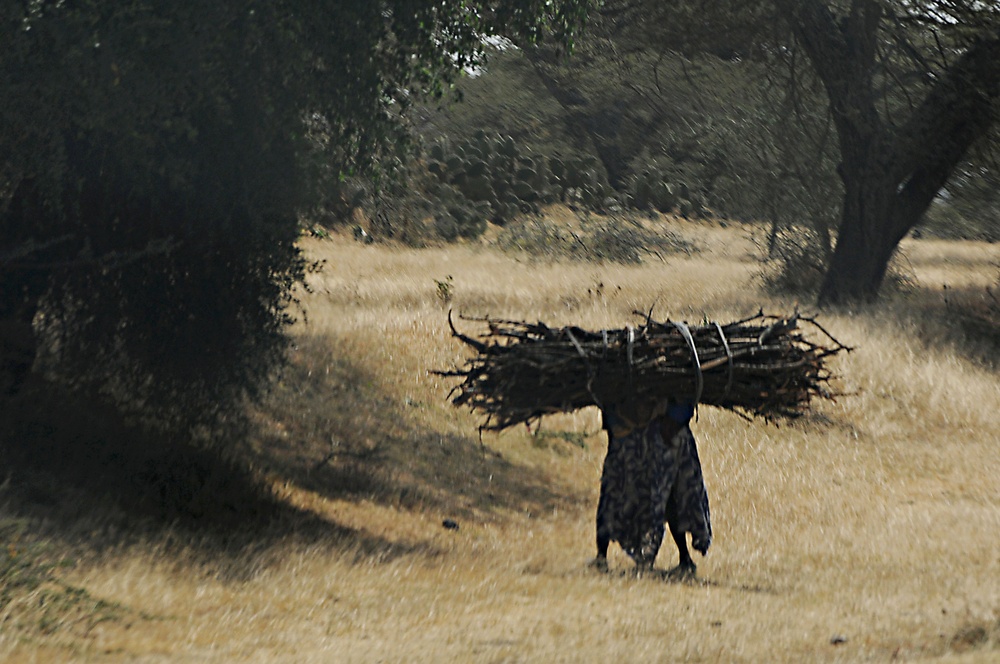 144 hours in Ethiopia: Into the Land of Plenty