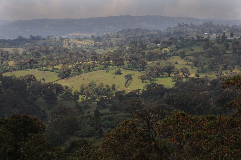 144 hours in Ethiopia: Into the Land of Plenty