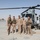 Operation Noel: Marine helicopters spread Christmas spirit in Afghanistan