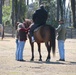 Marine IED survivor begins equine therapy