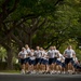 First Joint Base Pearl Harbor-Hickam "Warrior Run" of the New Year