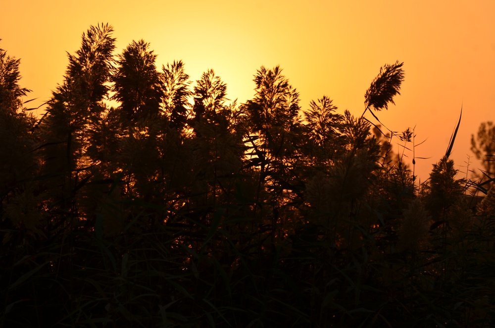 Sunrise in Afghanistan
