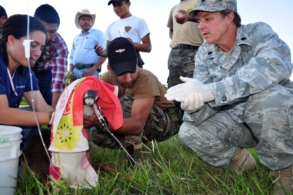 High Speed Vessel Swift-Southern Partnership Station 2012