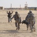 Medics conduct combat training