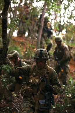 AAV Marines refresh infantry skills, tactics