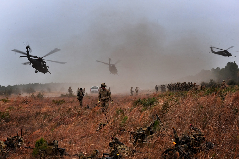 Combined Arms Live Fire Exercise (CALFX)