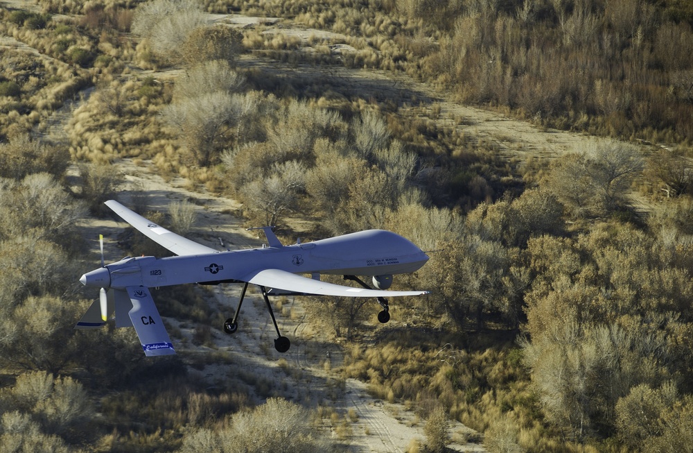 MQ-1 Predator in flight