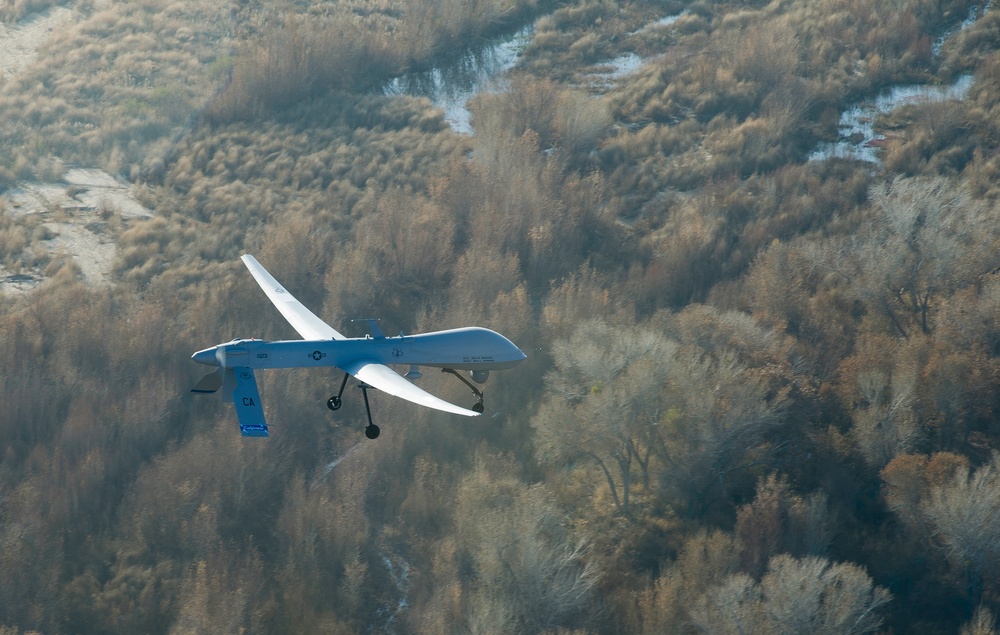 MQ-1 Predator in flight