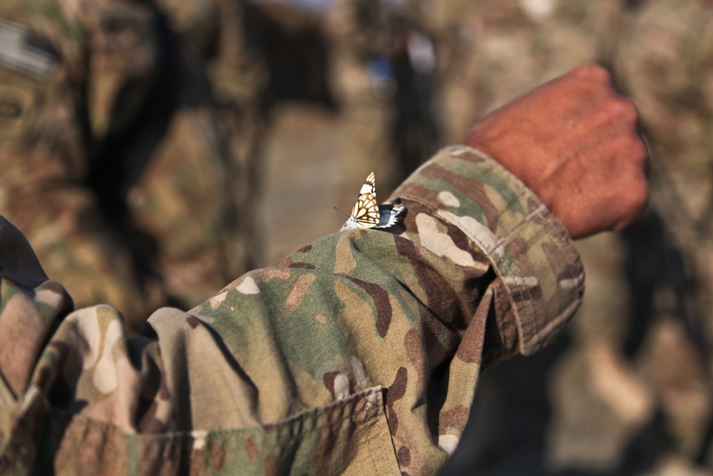 1st Cavalry Division's command sergeants major visit Nangarhar