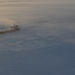 Renda begins Nome fuel transfer