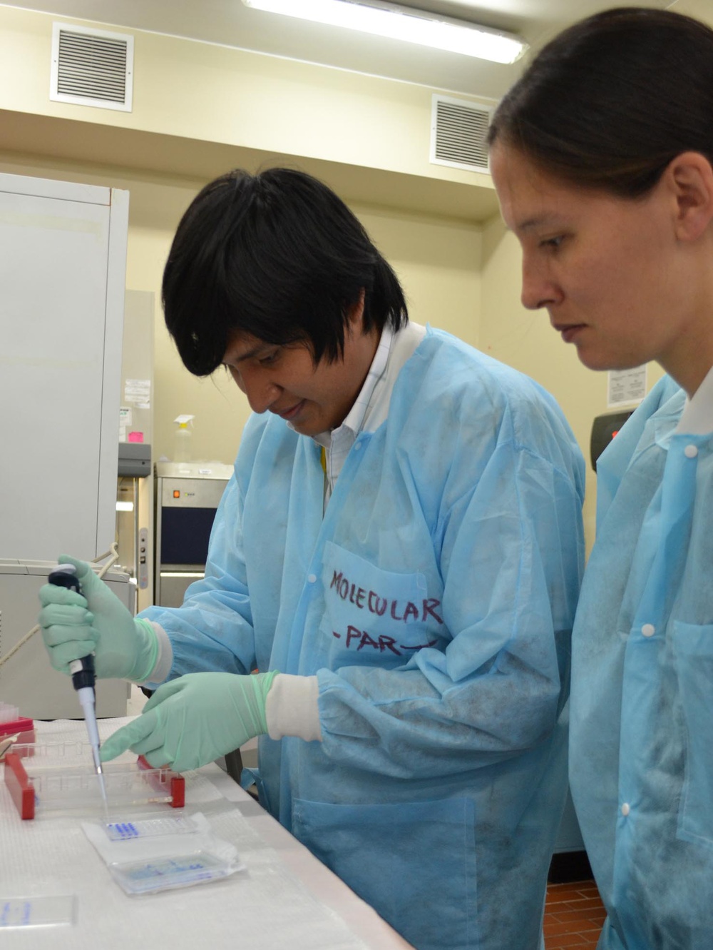 Research project at US Naval Medical Research Unit 6