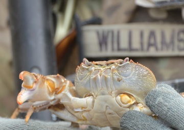 Combat Outpost Mizan in December