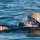 58th Rescue Squadron pararescuemen train to fight 58th Rescue Squadron pararescuemen train to fight