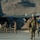 58th Rescue Squadron pararescuemen train to fight 58th Rescue Squadron pararescuemen train to fight