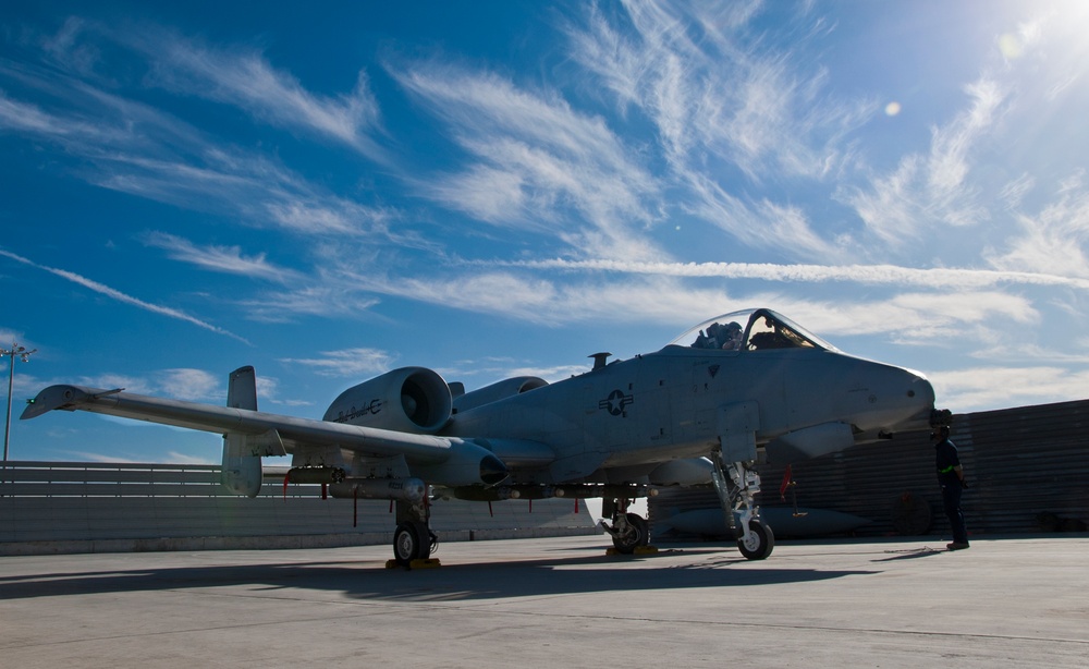Warthogs provide topcover for ground troops