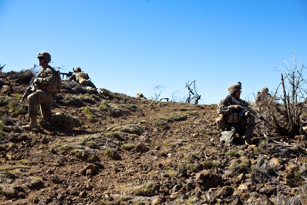 Lava Viper