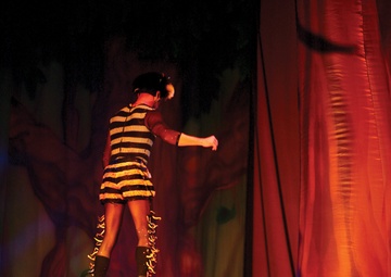 Cirque Dreams dazzles audience