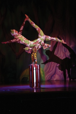 Cirque Dreams dazzles audience