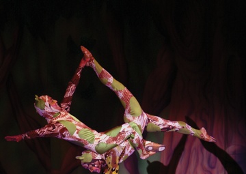 Cirque Dreams dazzles audience