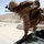 Operation Enduring Freedom Operation Enduring Freedom