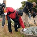 Osaka Castle cleanup