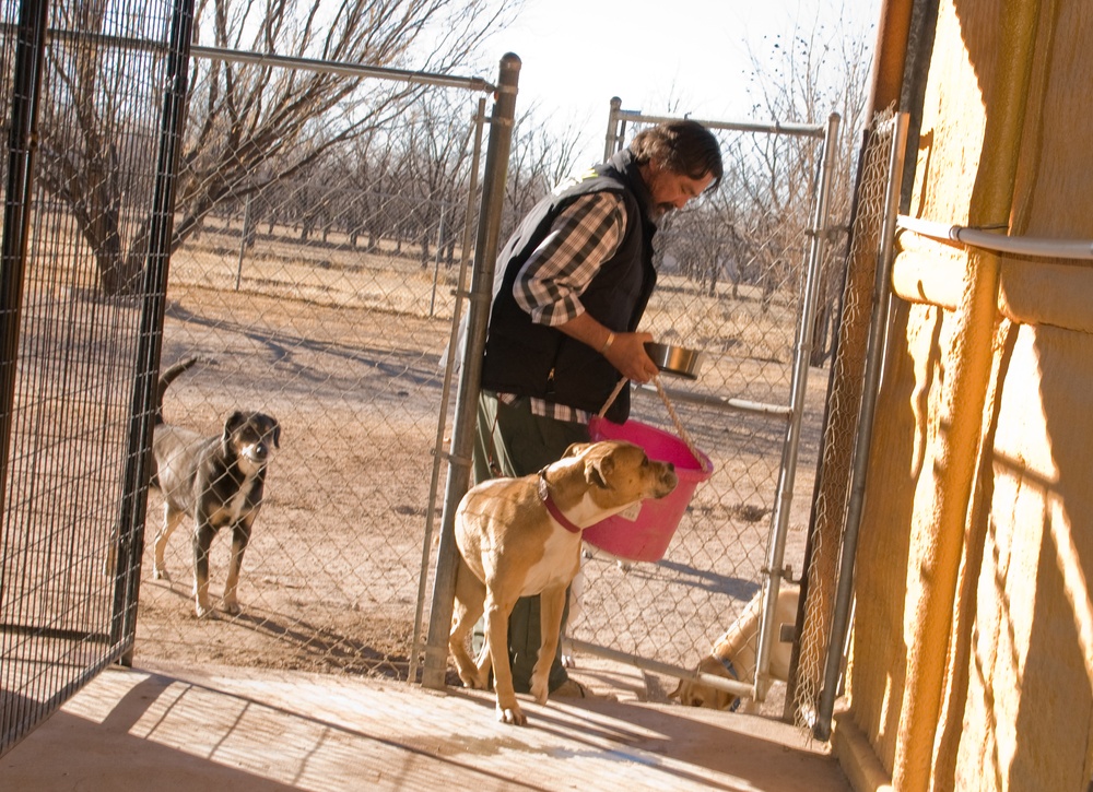Saving lives, one dog at a time