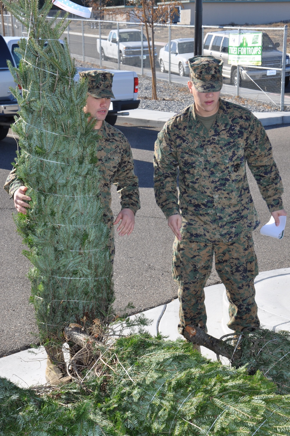 Trees for Troops spreads Christmas spirit to Marines, families
