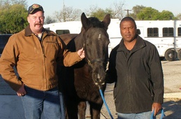 DLA Disposition Services engages in Texas horse trading