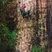 Kubasaki cadets descend cliff to ascend in life