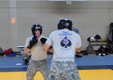 Fort Campbell Combatives Level 3 Training