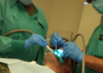 Dental Corps celebrates 100 years of service