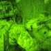 Bold Alligator 12