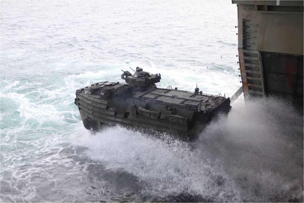 Bold Alligator AAVs go ship to shore