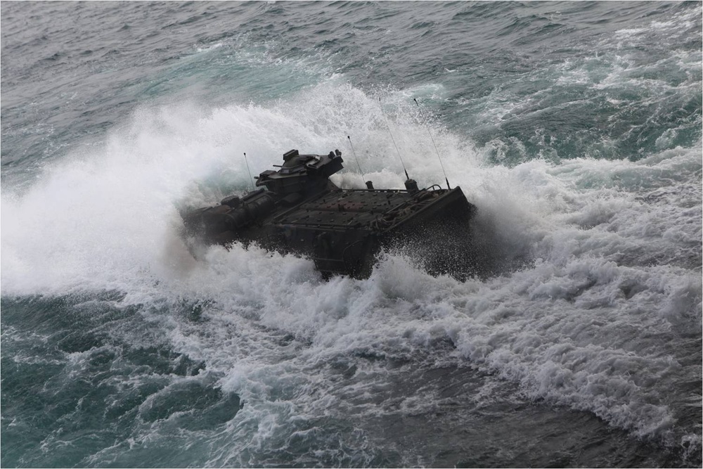 Bold Alligator AAVs go ship to shore