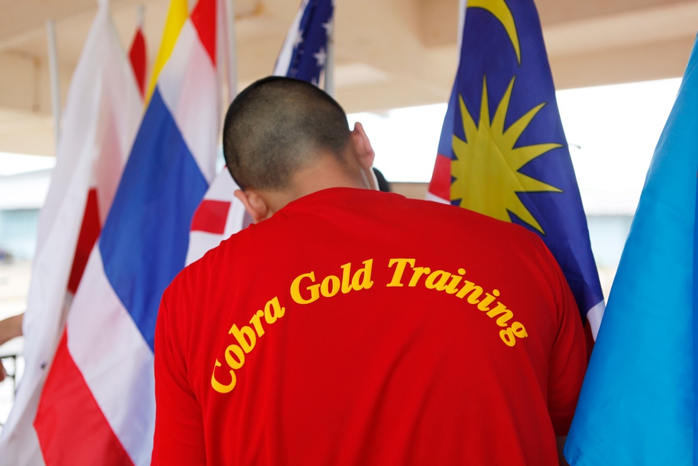 Exercise Cobra Gold