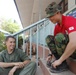 Exercise Cobra Gold