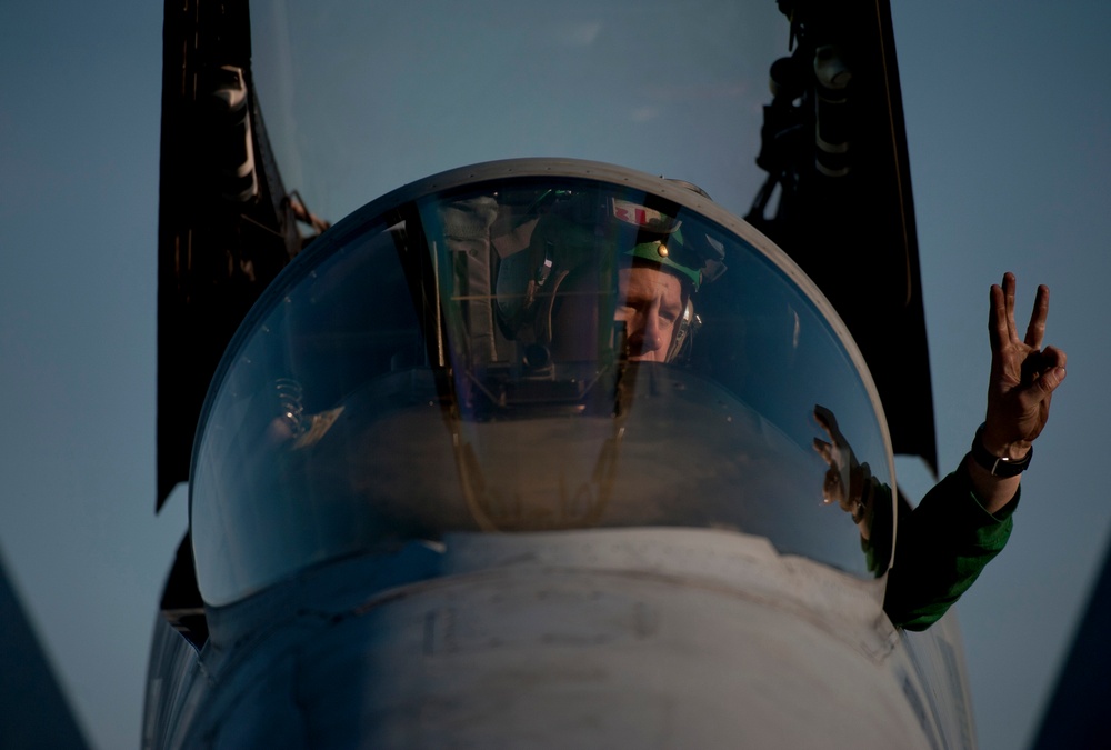 USS Carl Vinson in the Arabian Sea