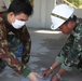 Exercise Cobra Gold 2012