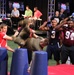 Marines participate in All-Star Football Challenge