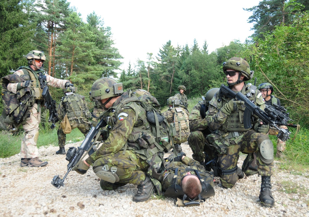 Croatian and Czech Operational Mentor Liaison Team training