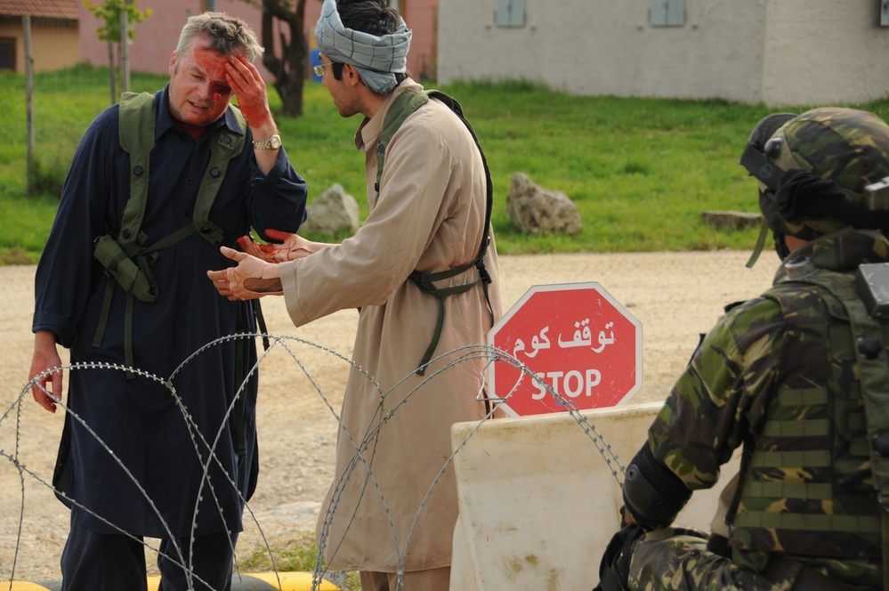 Romanian Operational Mentor Liaison Team training