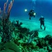 Underwater videography training